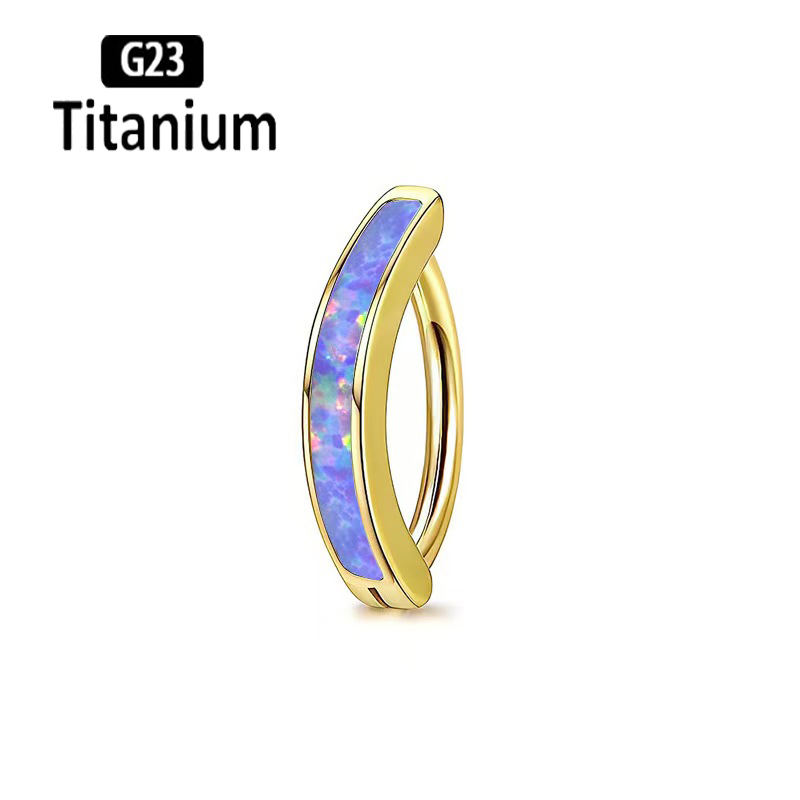 1 SZT. 14G Tytanowy Pierścień  – Body Jewelry Implant Grade Titanium recenzja i cena