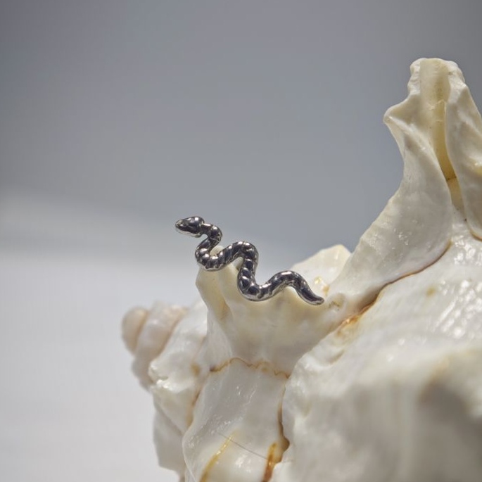 16G Tytanowy Pierścień do Pier – Body Jewelry Implant Grade Titanium recenzja i cena