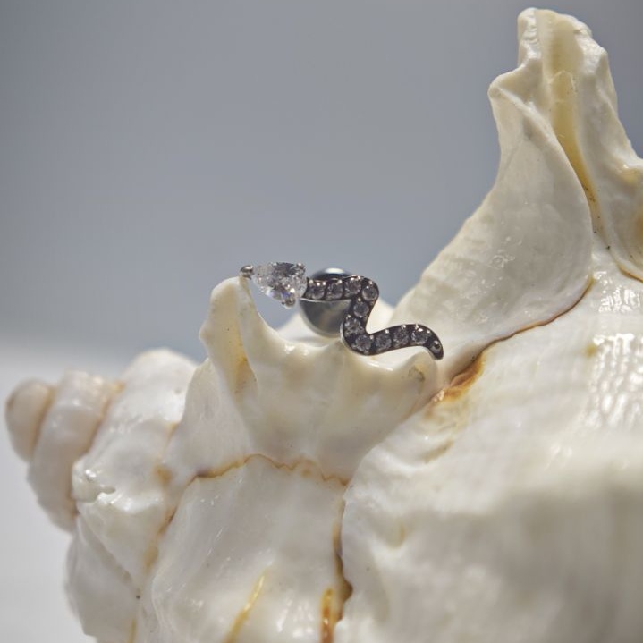 16G Tytanowy Pierścień do Pier – Body Jewelry Implant Grade Titanium recenzja i cena