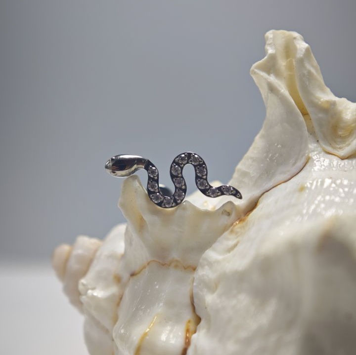 16G Tytanowy Pierścień do Pier – Body Jewelry Implant Grade Titanium recenzja i cena